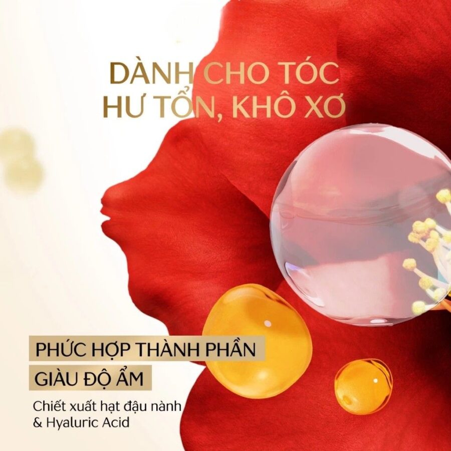 Gội xả Tsubaki cấp ẩm phục hồi