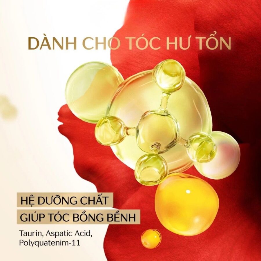 BỘ DẦU GỘI XẢ TSUBAKI PHỤC HỒI & BỒNG BỀNH PREMIUM VOLUME & REPAIR 450ML 12 Bộ gội xả Tsubaki vàng