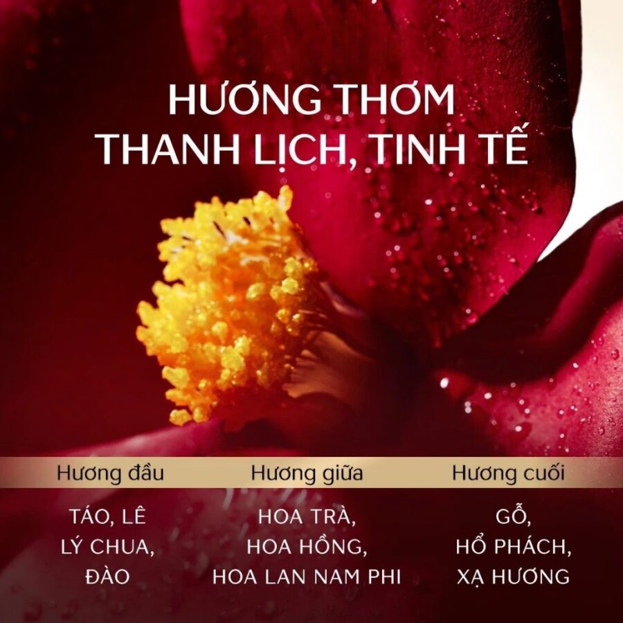 BỘ DẦU GỘI XẢ TSUBAKI PHỤC HỒI & BỒNG BỀNH PREMIUM VOLUME & REPAIR 450ML 13 Bộ gội xả Tsubaki vàng