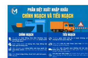 Nguồn nhập chính ngạch và tiểu ngạch